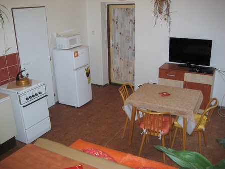 Televize a stůl a lednice v obývacím pokoji s kuchňkou